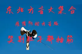 东北方言大集合，村长广播怼人:你跟个傻大胆似的，你听不懂话啊视频封面