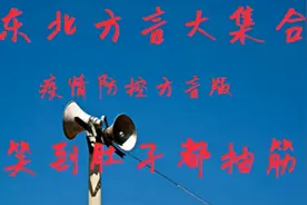 东北方言大集合，村长广播怼人:你跟个傻大胆似的，你听不懂话啊视频封面