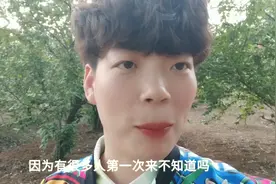 河南南阳樱桃沟的樱桃熟了，教你几招避免踩坑！