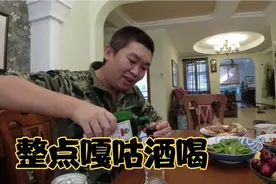 掂对四个小菜下酒，喝点野格兑六个核桃，再来一听啤酒盖个帽视频封面