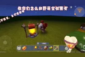 教你们怎么和野萌宝做朋友！！！！！