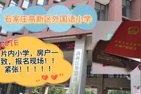 石家庄高新区外国语小学报名现场！现场验证真紧张，一定要录取啊视频封面