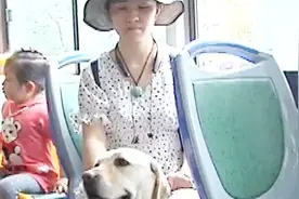 合肥首只导盲犬乘公交被拒：你要带狗上，我就不开车！官方回应视频封面