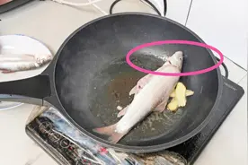 四川雅鱼，这种鱼头上竟然藏着“宝剑”，这是真的吗？视频封面
