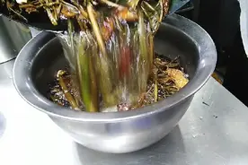 做了20多年老师傅给你分享姜葱油的制作应该注意什么，你值得收藏
