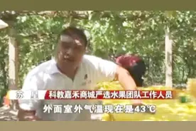 当地气温高达43℃！新疆吐鲁番无核白葡萄正在顺利采摘视频封面