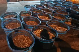 平潭开海啦！看看今天东澳这艘渔船什么大丰收