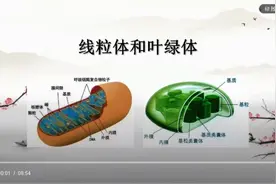 高中生物必修一细胞器《线粒体和叶绿体》视频封面