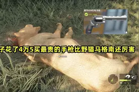 饺子花了4万5买了荒野的召唤里最贵的手枪 比野猫马格南手枪还强视频封面