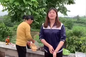 5元成本的农家血皮菜炒猪肝看看到底有多美味？孕妇的最爱