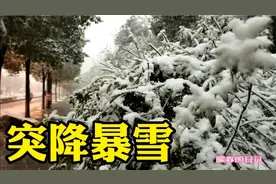 安徽铜陵突降暴雪，实拍江南下雪的模样，很多年没见过这样大雪了