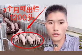 2160000元猪苗，三个月可出栏，平均270斤！太厉害了！视频封面