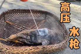 高压水枪爆洗发霉老腊肉，看着黑色脏污脱离真痛快，一口气洗完