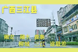 广西柳州三江县，柳城，鹿寨，融安，融水谁经济最强啊？