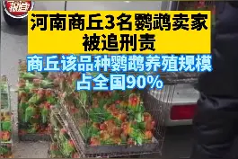商户卖鹦鹉被抓，“养了30多年 不知道是保护动物”，不少养殖户押上全部身家#鹦鹉 #动物视频封面