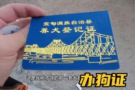 办狗证需要花多少钱？小伙实拍办证全过程，这价格出乎意料啊视频封面