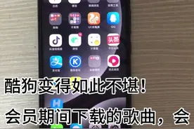酷狗，我们该抛弃你了吗？视频封面