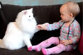 我可告诉你，你别随便碰我啊，我们不一样！