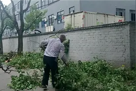 宁波奉化，挥汗如雨的三伏天，看一些满头银发的老人在干什么