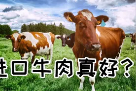 8月份我国进口美国牛肉创下单周十年来之最。美国农民感谢视频封面