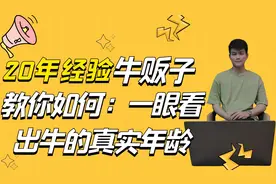 二十年经验老师傅，教你一眼辨别牛的真实年龄!视频封面