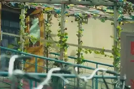夏洛对大春说：你和别人不同，别把时间浪费在学习上！句句经典！