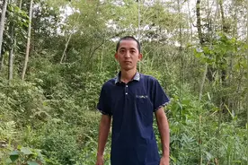 古木带大家看看画眉蛋孵化的怎样了视频封面
