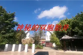 神奇的墨江双胞胎井视频封面