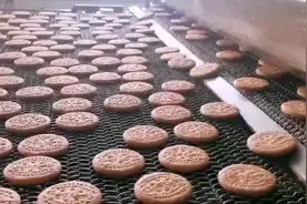 效率太高了 饼干流水线是这样生产的