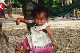 中国人为什么不能养猴子☹️🙁