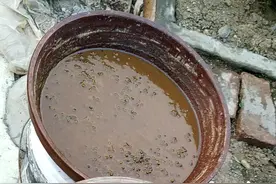 山东临沂的特色大酱，炒鸡专用酱，沂蒙山炒鸡，平常做菜也挺好吃