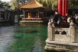 济南第四十一届趵突泉金秋菊展