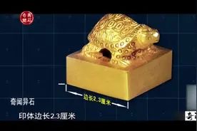 女村民土堆里捡到金黄色的东西，专家赶到说是文物盗墓分子留下的视频封面