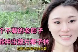 海南人多喜欢椰子，家家户户都在种，原来种一片椰林这么简单？
