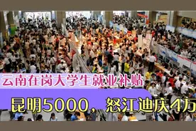 云南在岗大学生领钱了！财政厅下达8.9亿一次性就业补贴，羡慕吗视频封面