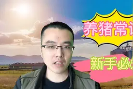 养猪新手注意，十年养猪小伙提醒您入行需谨慎！技术分享在这里！视频封面