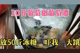 30斤葡萄做葡萄酒，放50斤冰糖，吓我一大跳，是我老婆说错了
