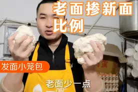 老面掺新面现包现蒸发面小笼包，我是这么做的！效果自己看！
