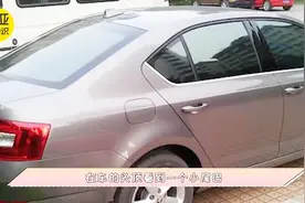 汽车头上的鲨鱼鳍有什么作用？为什么要安装它？让我来告诉你吧视频封面