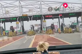 实拍牛人ETC上高速后全程拔卡，看后果！视频封面