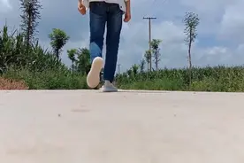 我的团队得解散了，，我感觉我已经坚持不下去了，希望能支持我。