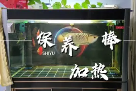 补上一期关于加热棒保养的视频，怎么快速的清除加热棒的水垢视频封面