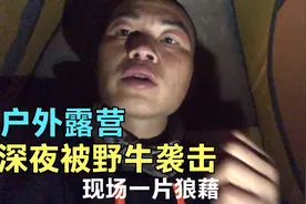 小伙户外露营，深夜被野牛袭击， 赤脚冲出帐篷，太吓人了视频封面
