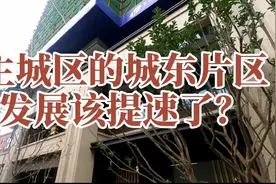 城东三环内改善房，入户花园有个这么贴心的设计，真的是巴巴适适视频封面