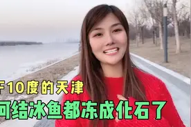 新年第一天小姐姐唱歌送祝福，零下10°海河结冰15公分，鱼成化石视频封面