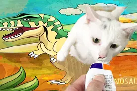 主人为了让猫咪减肥，喂零食都要让猫跳舞，跳起来好像霸王龙！