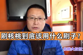 刷核桃到底用什么刷子？