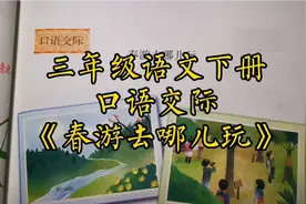 三年级语文下册口语交际《春游去哪儿玩》讲解视频封面