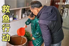 腊月二十九，捞的草鱼肚子翻白了，老妈用农村土方法一招搞定视频封面