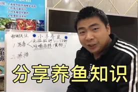 锦鲤金鱼烂尾烂嘴烂身怎么办？小丰耐心讲解，请大家耐心看完。视频封面